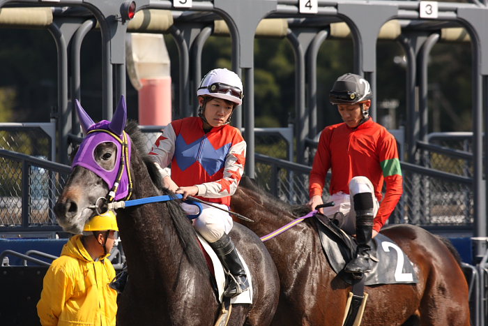 2008年2月11日(月) 高知競馬 5R レース前_a0077663_724215.jpg