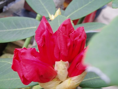 e0003465_1875630.jpg