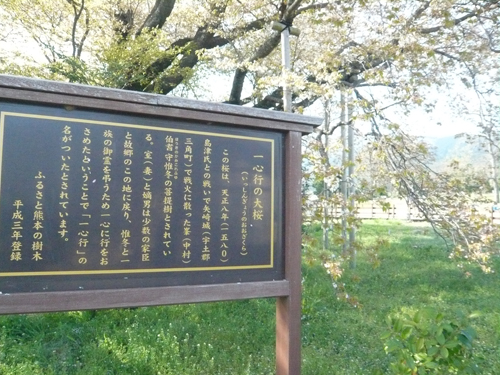 f0142768_1195211.jpg