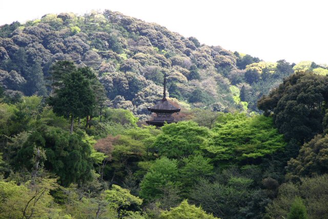 京都　清水寺_f0068584_16162062.jpg