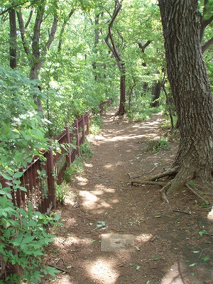 c0105785_97482.jpg