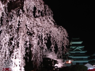 c0099395_953227.jpg