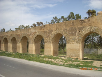 c0149195_226579.jpg