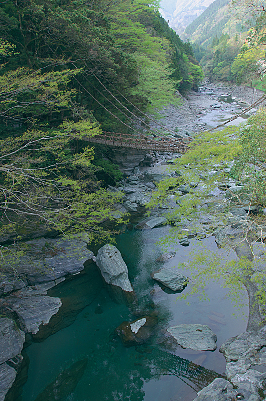 d0146295_06927.jpg