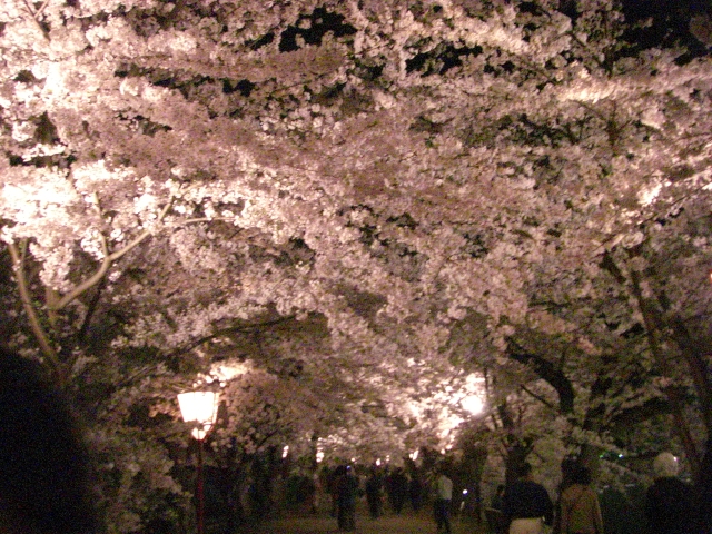e0050801_23502721.jpg