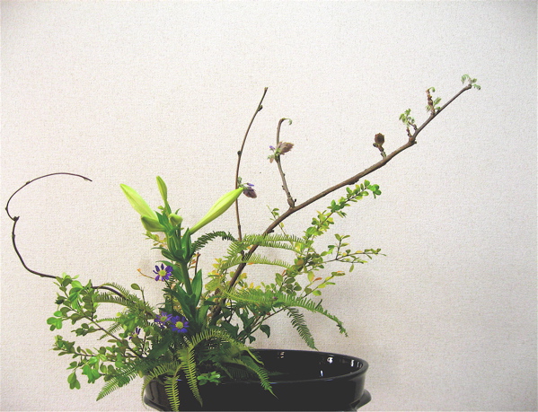 e0001406_21103765.jpg