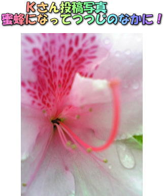 癒しの投稿シリーズ_d0070316_22103095.jpg