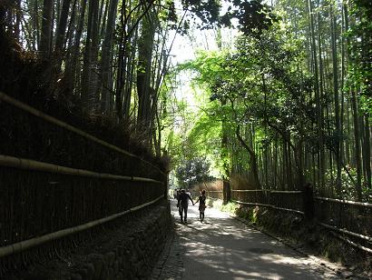 緑の桜、天の使い、天国　(2008年、春の京都旅行記シリーズ最終日)  _e0063317_1311191.jpg