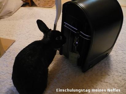 入学式 Einschulungstag_d0144726_2282270.jpg