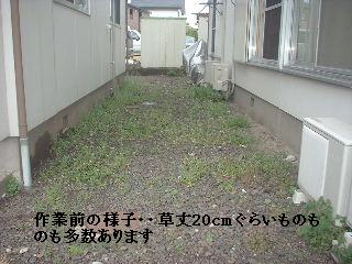 賃貸物件・定期管理・・除草剤散布_f0031037_17511643.jpg