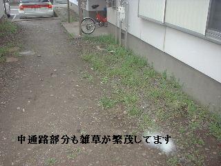 賃貸物件・定期管理・・除草剤散布_f0031037_17533486.jpg