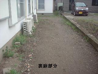 賃貸物件・定期管理・・除草剤散布_f0031037_1753893.jpg