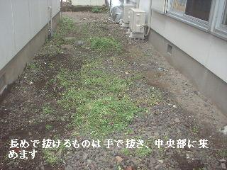 賃貸物件・定期管理・・除草剤散布_f0031037_17552675.jpg