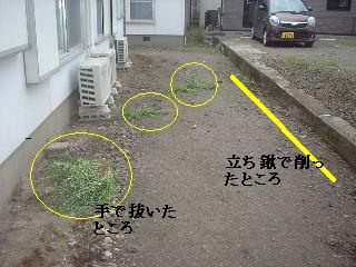 賃貸物件・定期管理・・除草剤散布_f0031037_17554882.jpg
