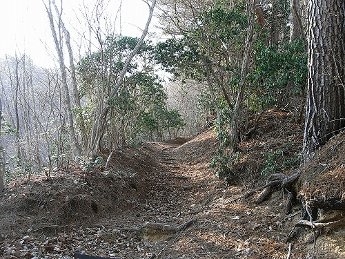 川内村の五社山_f0003138_1220682.jpg