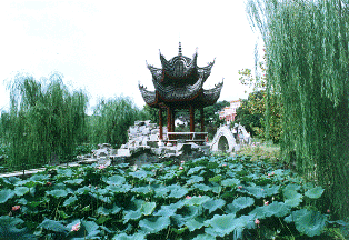 f0070743_23164135.gif