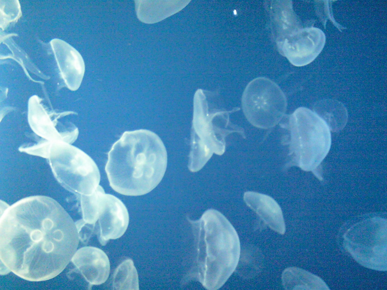 e0063346_11414011.jpg