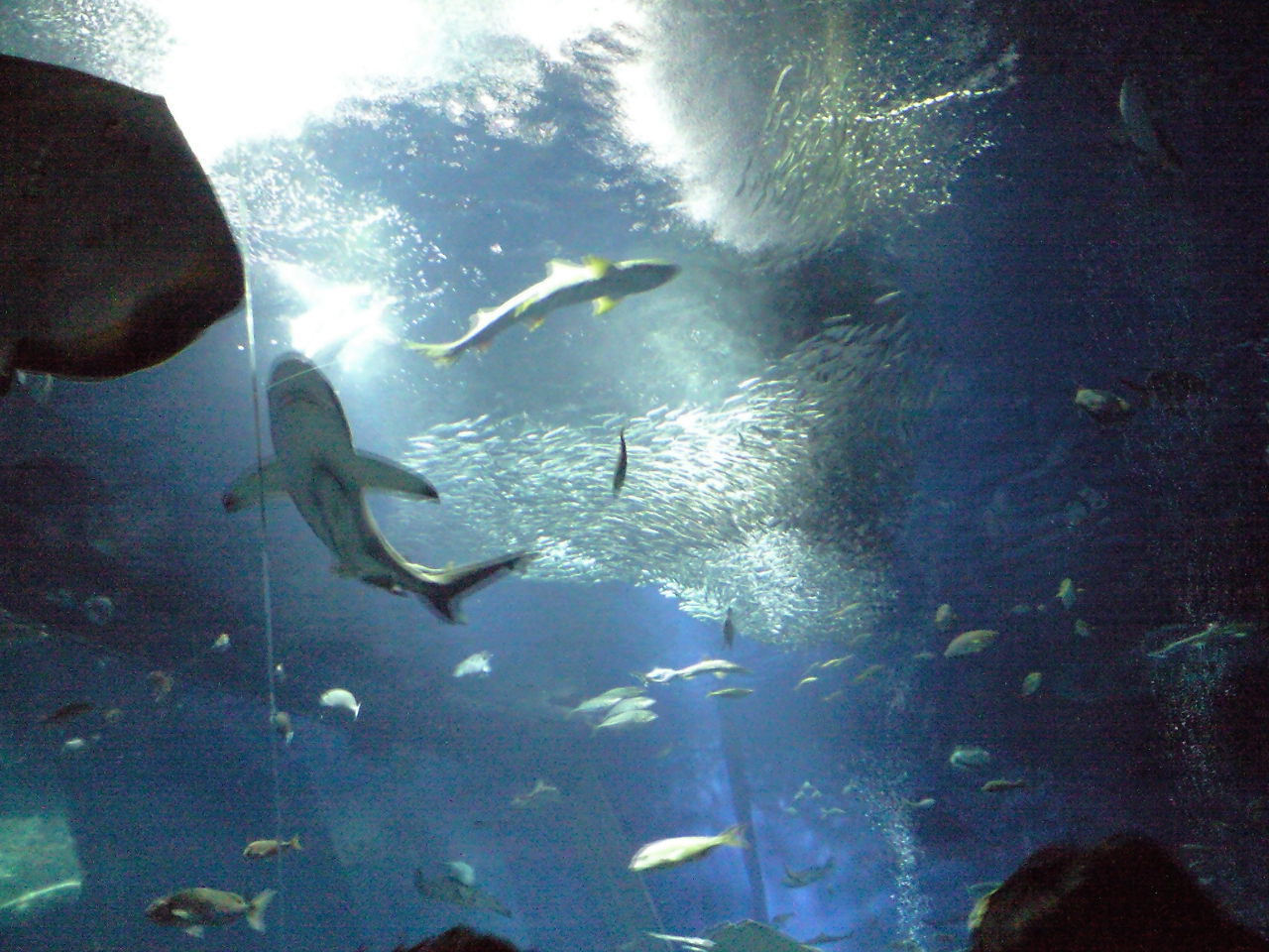 e0063346_1141722.jpg