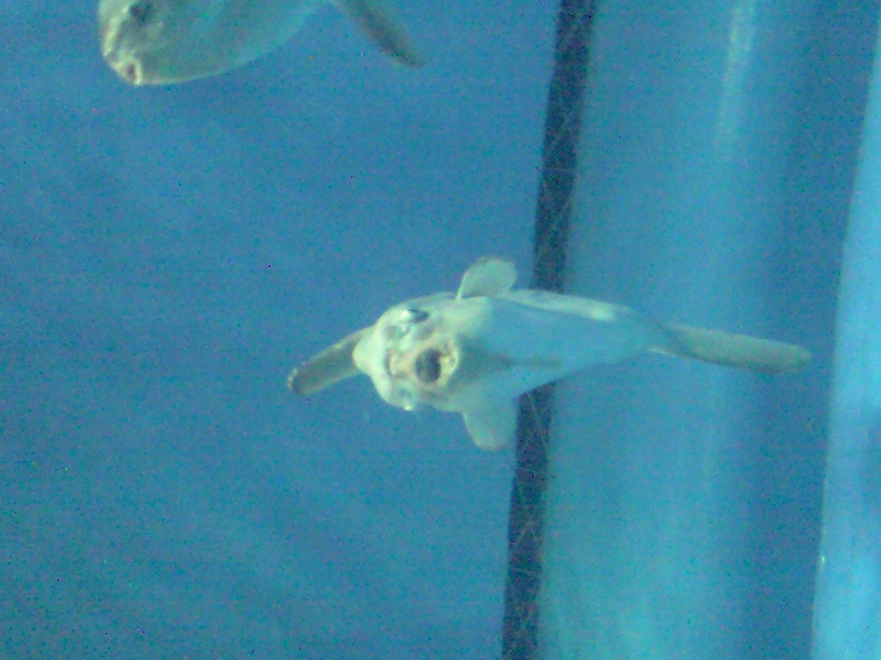 e0063346_11425947.jpg