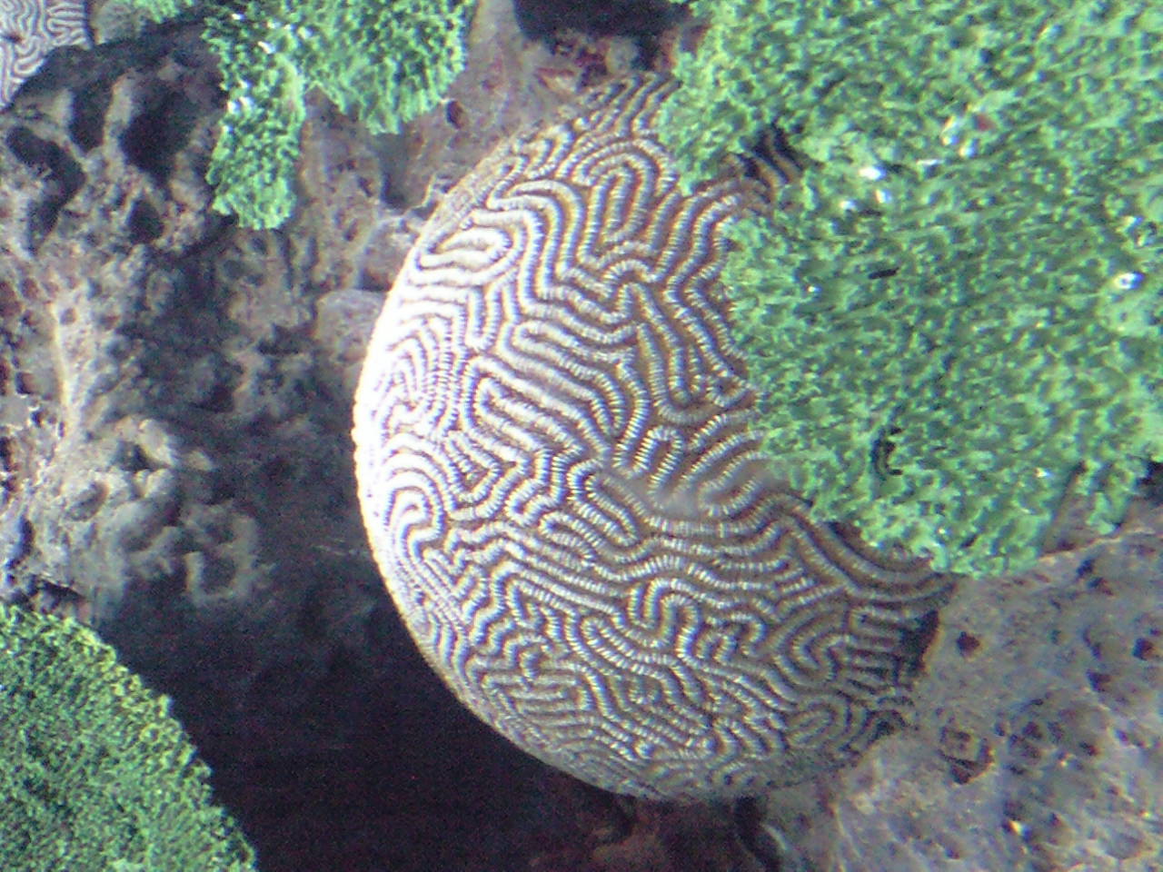 e0063346_11431255.jpg