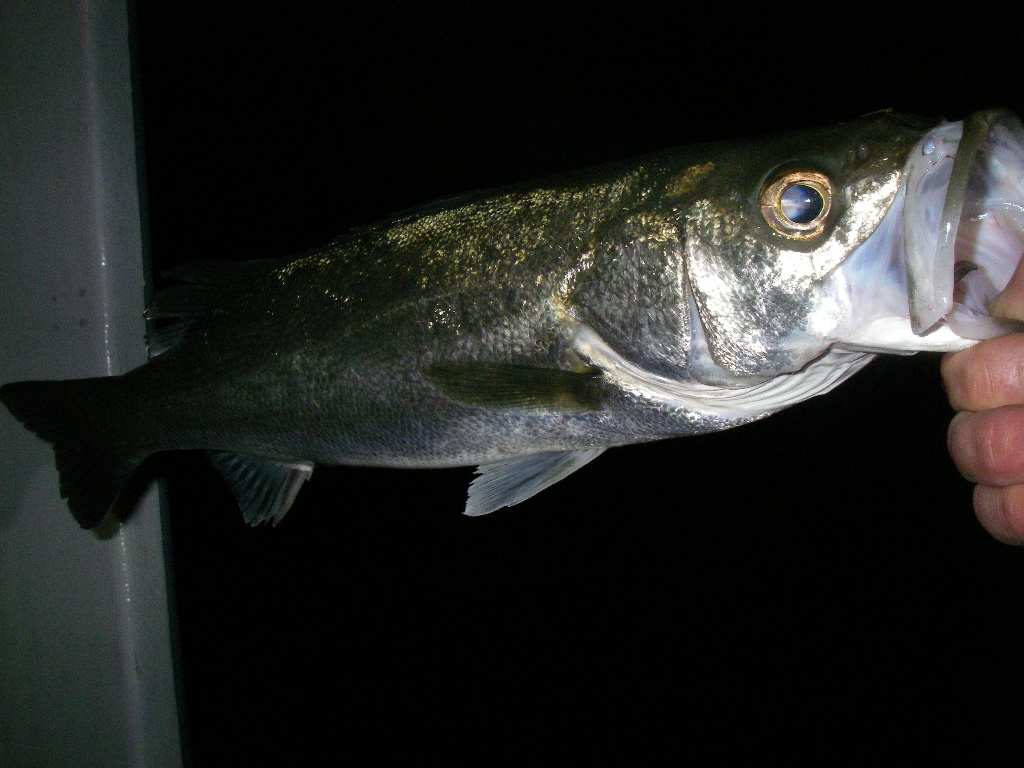 c0153951_14475924.jpg