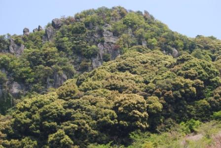 秀峰・御船山の新緑　（4月24日現在）_e0143556_154119.jpg