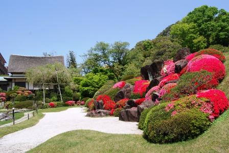 慧洲園のツツジやシャクナゲ　（４月２４日現在）_e0143556_2251938.jpg