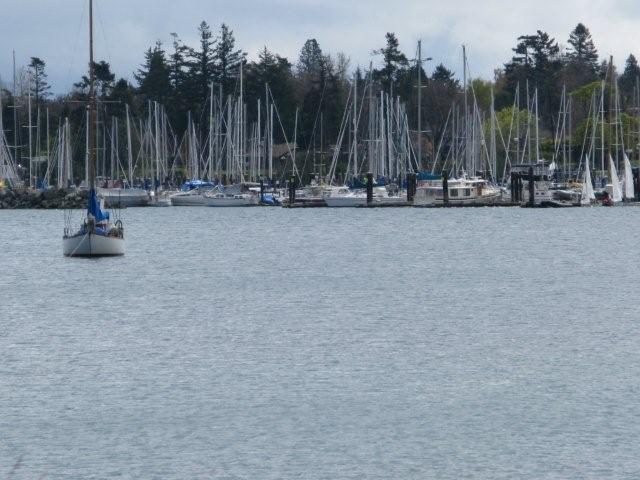 Peaceful sea_c0157558_22143939.jpg