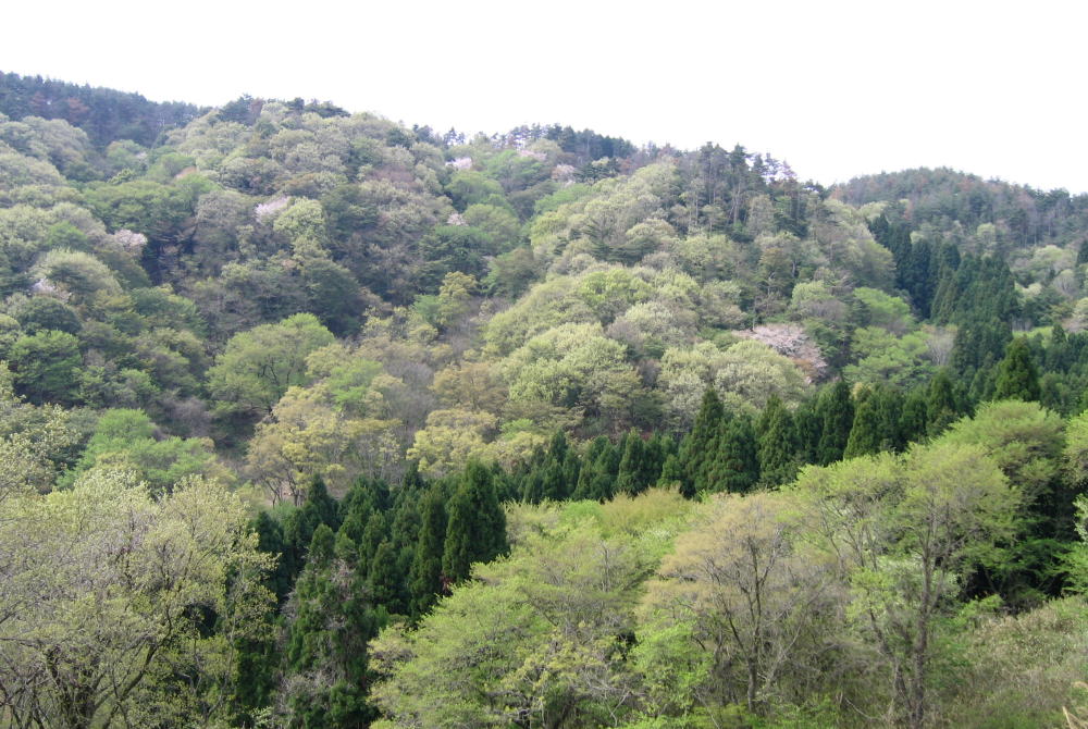b0129962_15454498.jpg