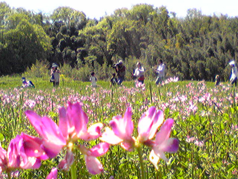 b0126865_2357499.jpg