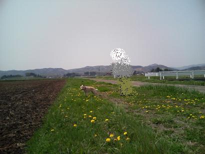 e0139167_01436.jpg