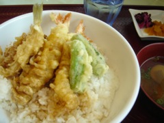 2008年4月19日から24日 たまっちゃったわ~ _b0098584_04862.jpg