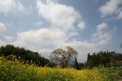 b0119190_21514398.jpg