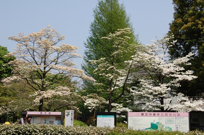 d0153294_1529442.jpg