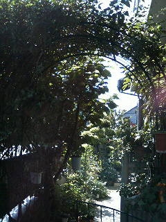 e0143298_2113172.jpg