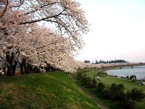 e0122199_1118.jpg