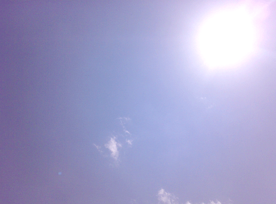 f0061401_1157237.gif