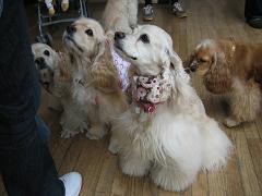 京都オフ会~♪_a0064213_22113912.jpg