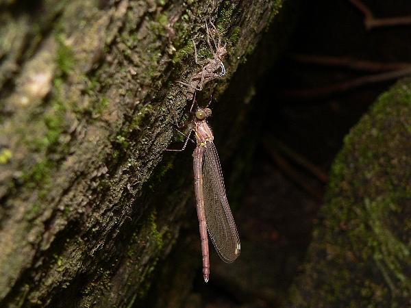 e0002314_16505265.jpg