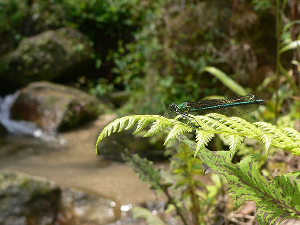e0002314_16574296.jpg