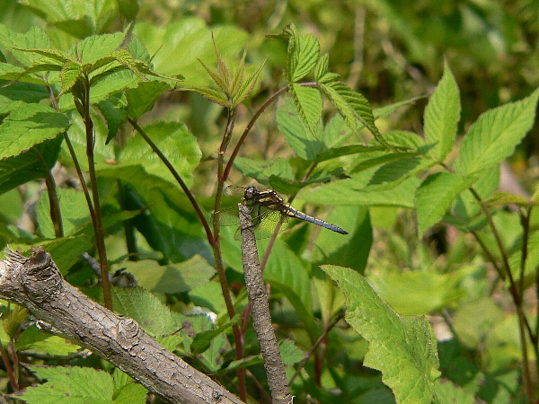 e0002314_16593964.jpg