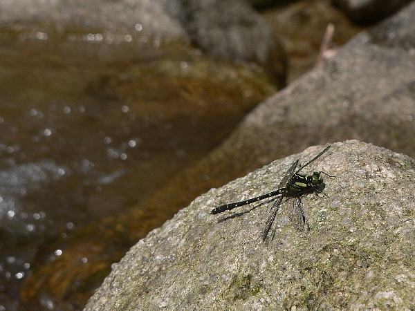e0002314_16595227.jpg