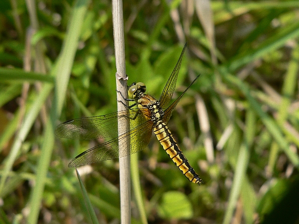 e0002314_170123.jpg