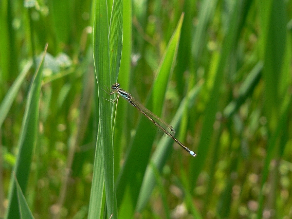 e0002314_1702636.jpg