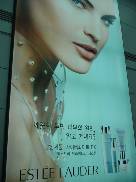 c0143523_1401460.jpg