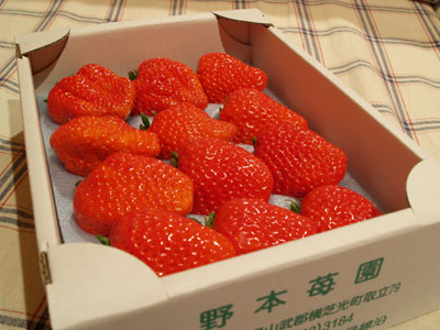 f0047524_11352046.jpg