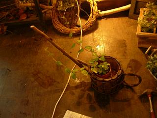 リメイクレッスン_c0102228_21121985.jpg