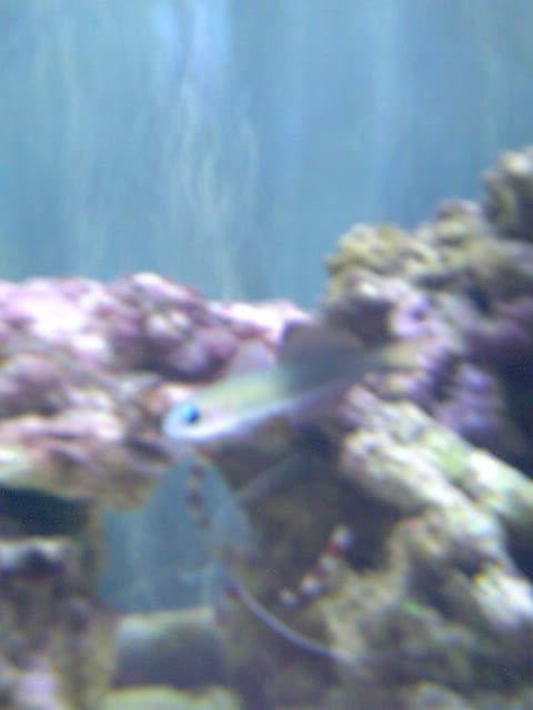 c0108434_22122086.jpg