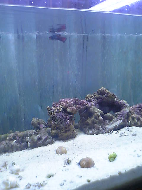 c0108434_22153185.jpg