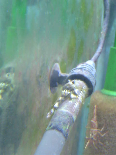 c0108434_2284950.jpg